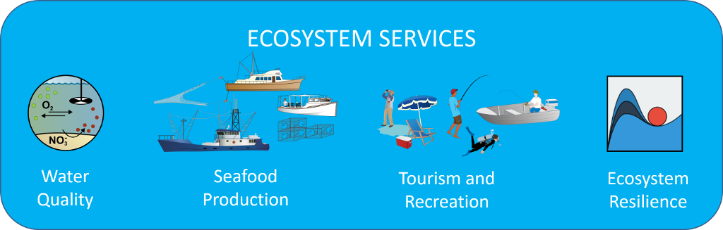 Ecosystem Services