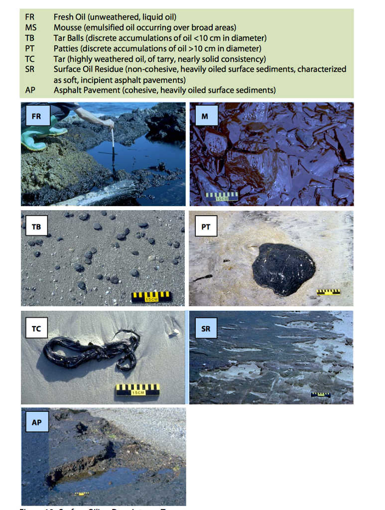 TYpes of Oil from SCAT manual