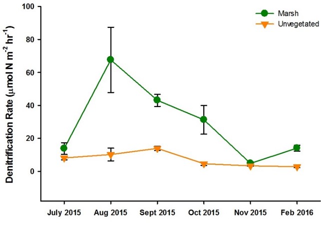 graph of seasonal denitrification