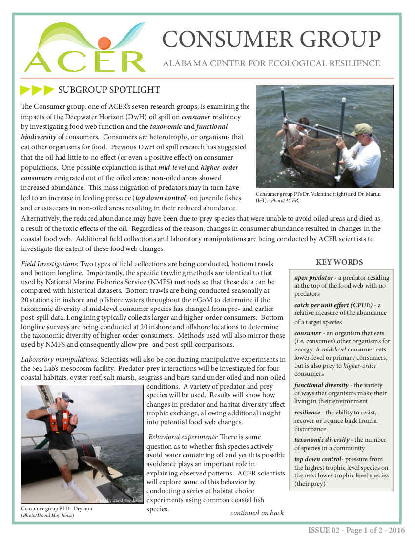 Fact Sheet 2- ACER group Spotlight: Consumers