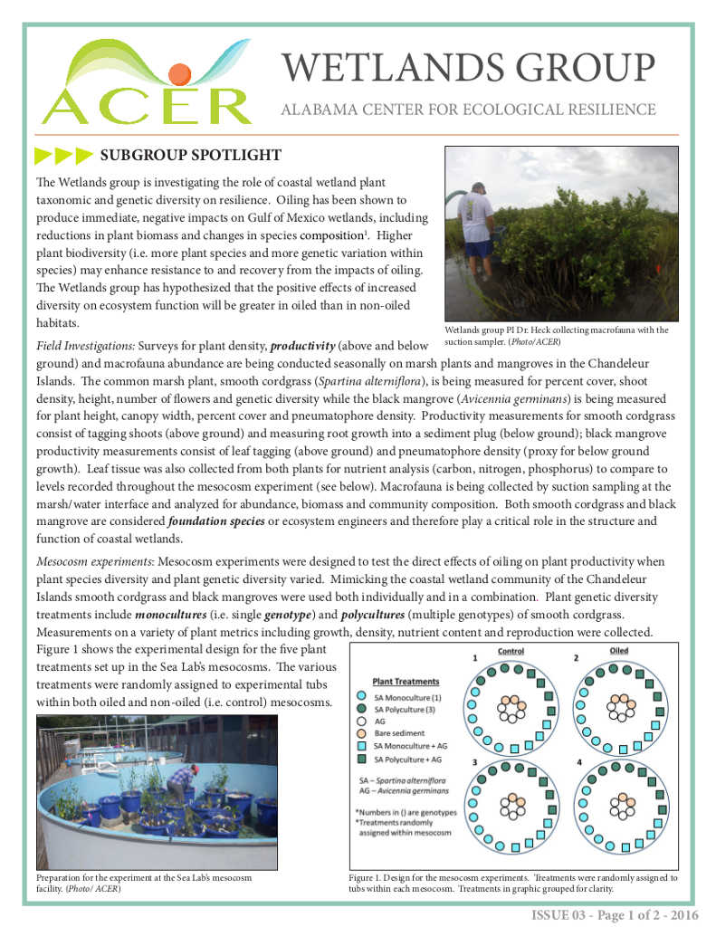 Fact Sheet 3- ACER group Spotlight: Wetlands