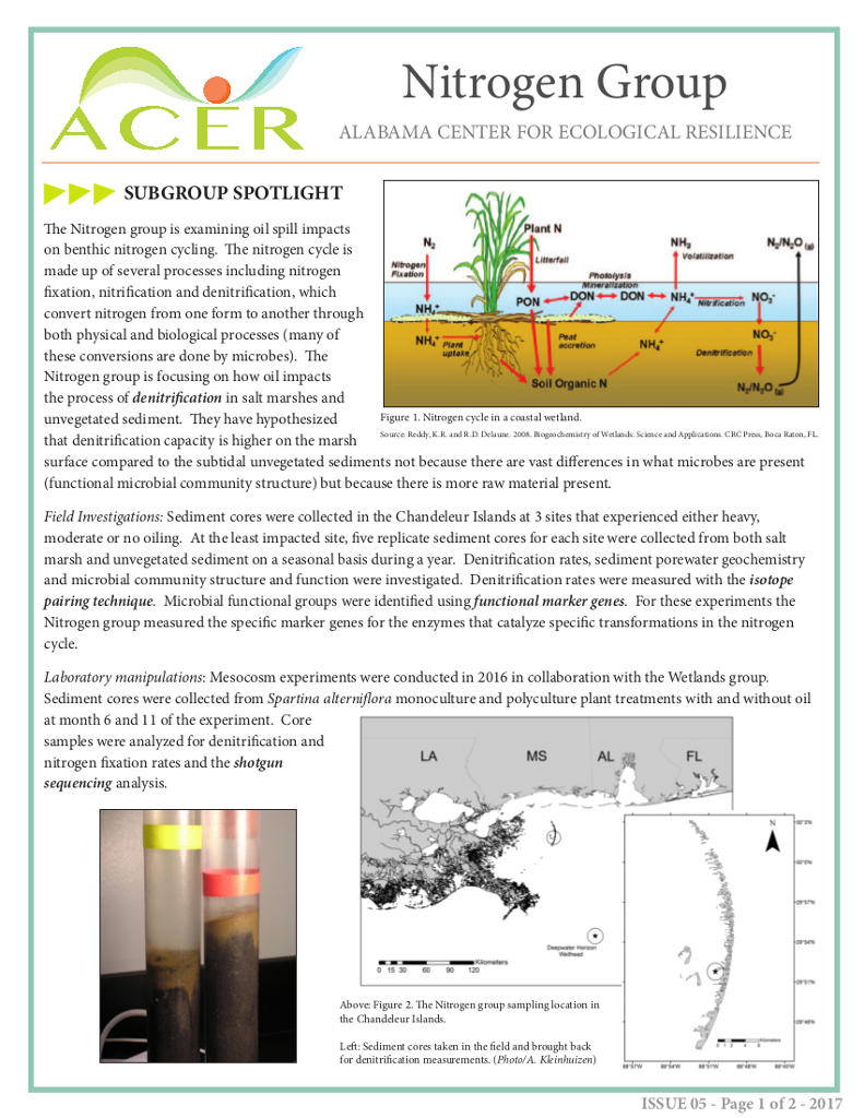 Fact Sheet 5- ACER group Spotlight: Nitrogen Cycling