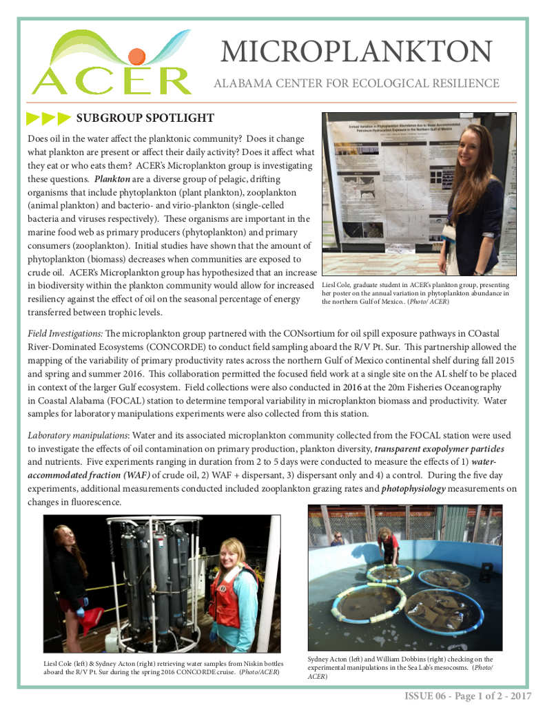 Fact Sheet 6- ACER group Spotlight: Microplankton